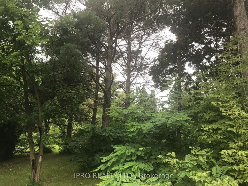 Power of sale property in Trent Hills: N/A Winter Road  Trent Hills, ON K0K 3K0